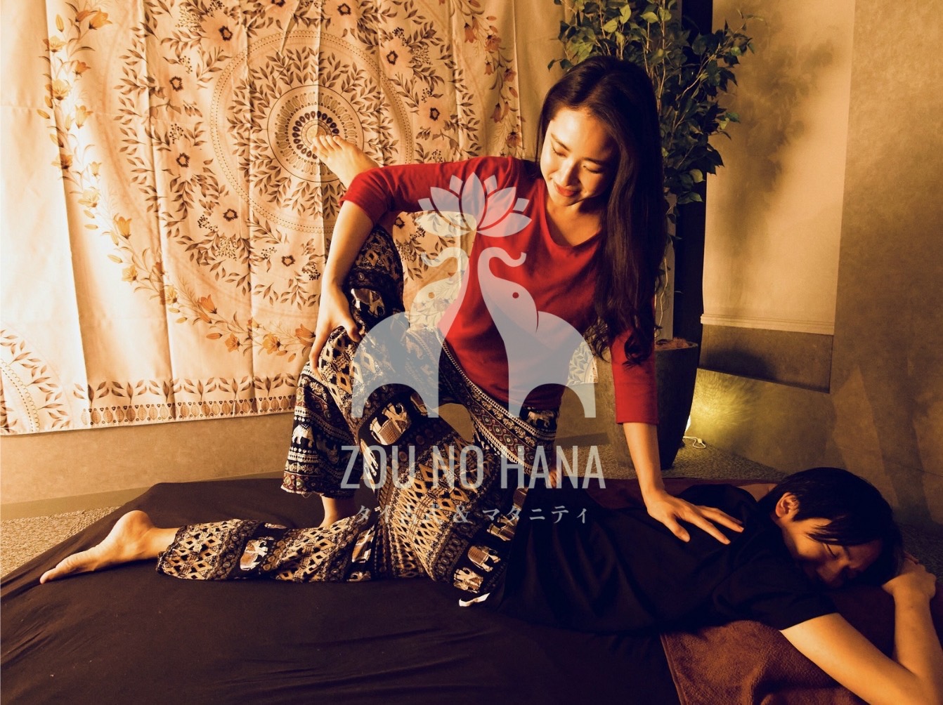 ZOU NO HANAスタイル☆タイ古式マッサージ